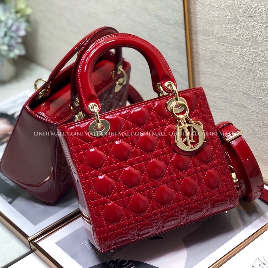 디올레이디백 (24cm)