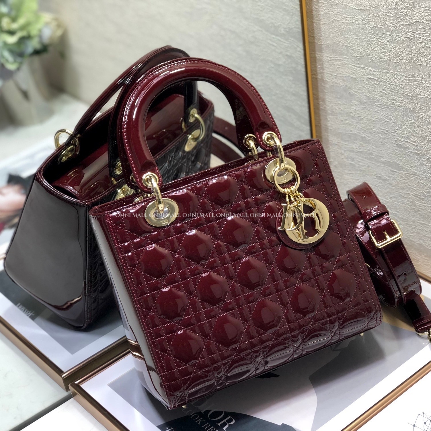 디올레이디백 (24cm)