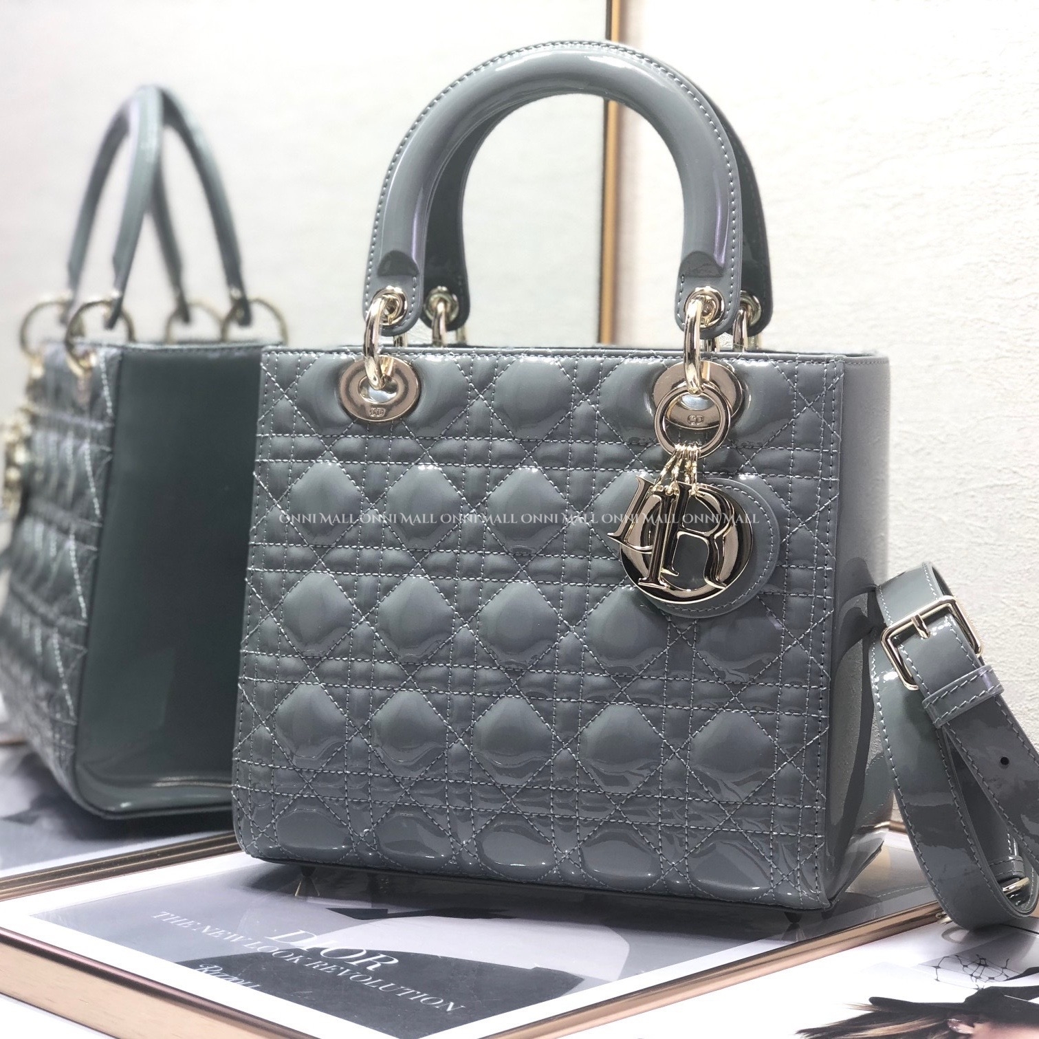 디올레이디백 (24cm)