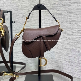 디올 새들백 (19.5cm)