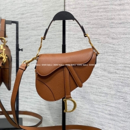 디올 새들백 (19.5cm)