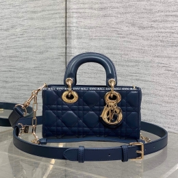 디올디조이백 (19cm)