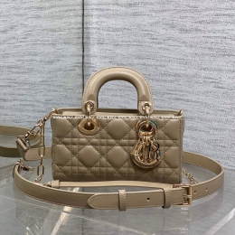 디올디조이백 (19cm)