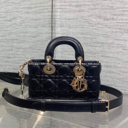 디올디조이백 (19cm)