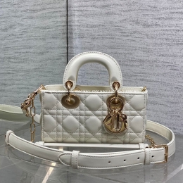 디올디조이백 (19cm)