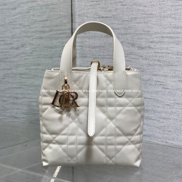 디올뚜주흐버티컬토트백 (16cm)