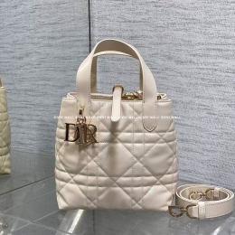 디올뚜주흐버티컬토트백 (16cm)