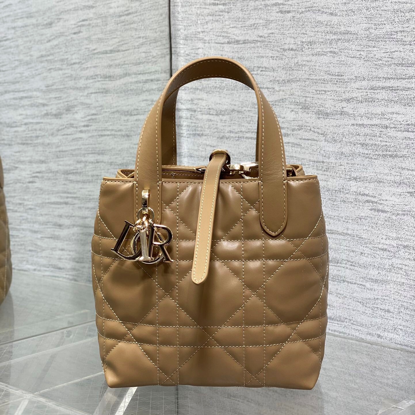 디올뚜주흐버티컬토트백 (16cm)