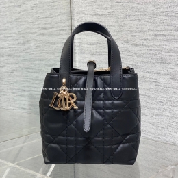 디올뚜주흐버티컬토트백 (16cm)