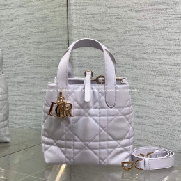 디올뚜주흐버티컬토트백 (16cm)