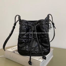 디올 디모션백 (17cm)