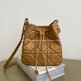 디올 디모션백 (23cm)