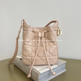 디올 디모션백 (17cm)