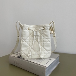 디올 디모션백 (17cm)