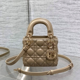 디올 레이디백 (12cm)