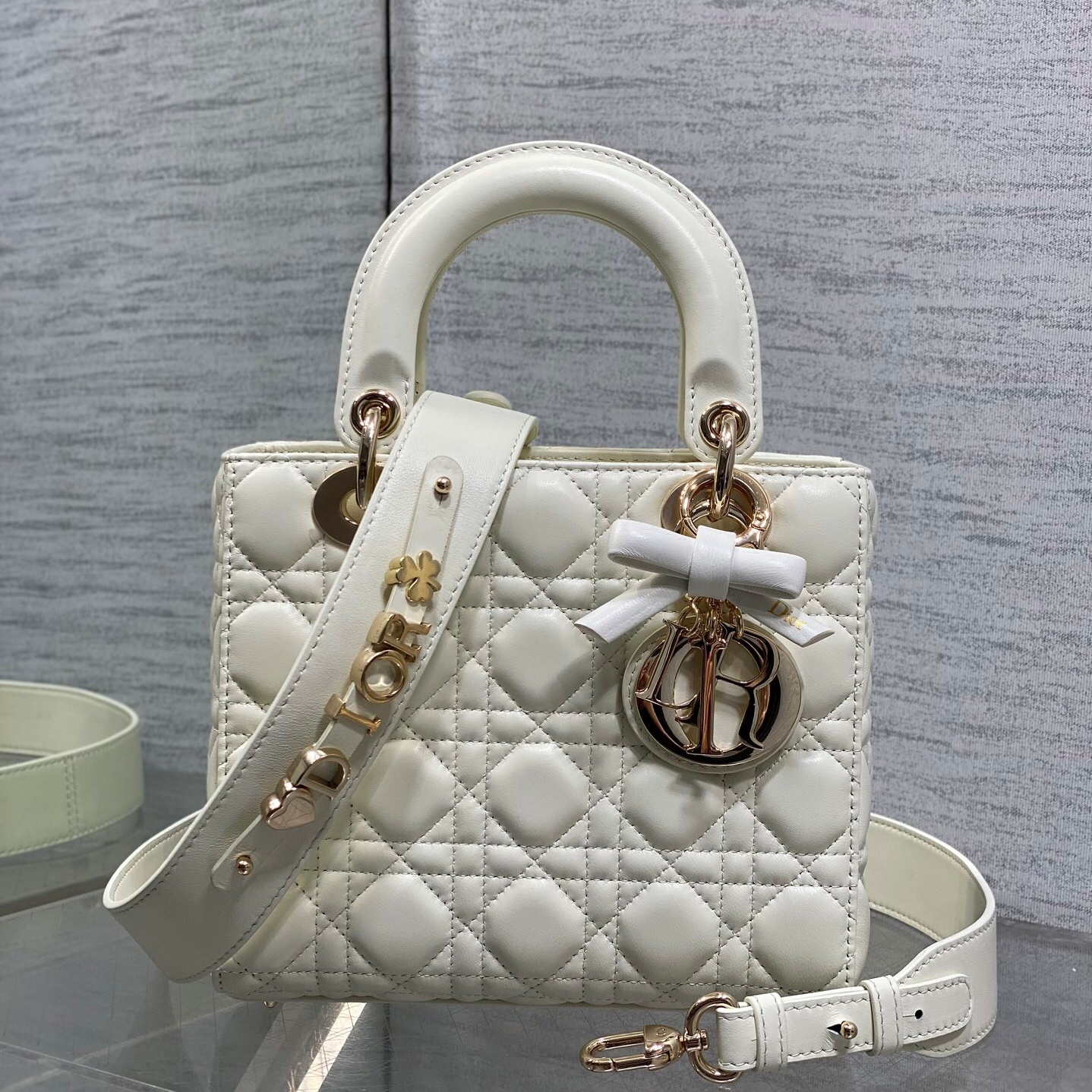 디올 레이디백 (20cm)