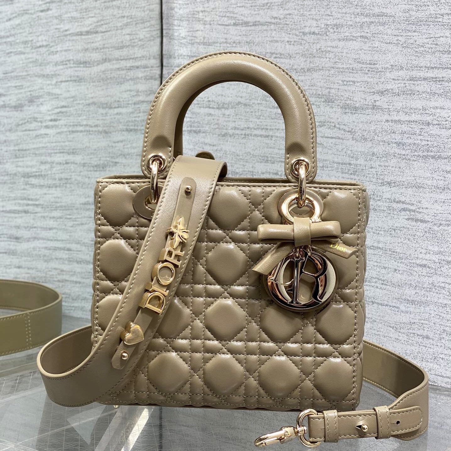 디올 레이디백 (20cm)